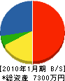 富士中商会 貸借対照表 2010年1月期