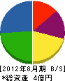 中日本工業 貸借対照表 2012年8月期