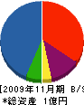 アマノ技研 貸借対照表 2009年11月期