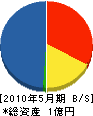 坂田道路 貸借対照表 2010年5月期