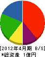 竹内電気工業 貸借対照表 2012年4月期
