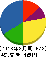 東京コーカ 貸借対照表 2013年3月期