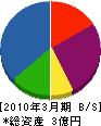 飯沼電気 貸借対照表 2010年3月期