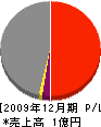 大成工務店 損益計算書 2009年12月期