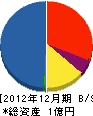 上坂建設 貸借対照表 2012年12月期