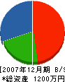 小沢造園 貸借対照表 2007年12月期