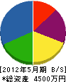 田中丸設備 貸借対照表 2012年5月期