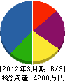 岩井川工務店 貸借対照表 2012年3月期