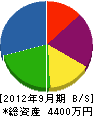 丸富士工業 貸借対照表 2012年9月期
