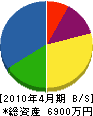 富田電機 貸借対照表 2010年4月期