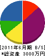 松昇建設 貸借対照表 2011年6月期
