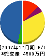中川土木 貸借対照表 2007年12月期