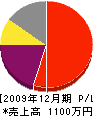 ヤグチ塗装 損益計算書 2009年12月期