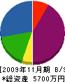 エムライン 貸借対照表 2009年11月期