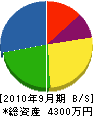 辻田商事 貸借対照表 2010年9月期