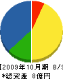 三晃 貸借対照表 2009年10月期