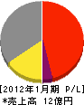 日本放射線防禦 損益計算書 2012年1月期