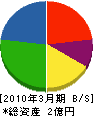 新潟日化サービス 貸借対照表 2010年3月期