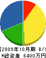 迎田電設 貸借対照表 2009年10月期