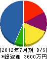 丸山電化サービス 貸借対照表 2012年7月期