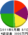 丸廣小川建築 貸借対照表 2011年6月期