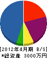西村土木工業 貸借対照表 2012年4月期