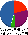 秋田土建工業 貸借対照表 2010年3月期