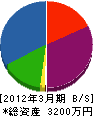 赤丸電気商会 貸借対照表 2012年3月期