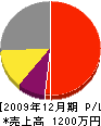 藤原電工 損益計算書 2009年12月期