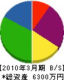 寺田工務店 貸借対照表 2010年3月期