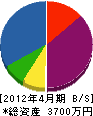 福島塗装店 貸借対照表 2012年4月期