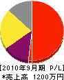 飯田造園 損益計算書 2010年9月期