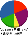 斉藤工業所 貸借対照表 2012年5月期
