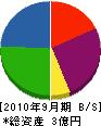 藤田電気工事 貸借対照表 2010年9月期