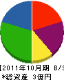 嶺南建設 貸借対照表 2011年10月期