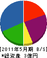 斉藤工業所 貸借対照表 2011年5月期