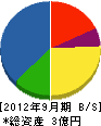 東日本技建 貸借対照表 2012年9月期
