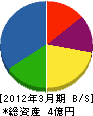 千葉住宅サービス社 貸借対照表 2012年3月期