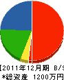 長渕緑地建設 貸借対照表 2011年12月期