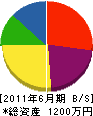 中沢電気商会 貸借対照表 2011年6月期