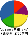 菅沼電機商会 貸借対照表 2013年3月期