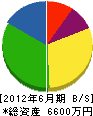 伊豆電業社 貸借対照表 2012年6月期