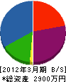 中央塗装店 貸借対照表 2012年3月期