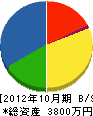 橋本塗装 貸借対照表 2012年10月期