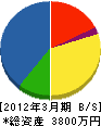 竹松総合 貸借対照表 2012年3月期