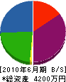 青山組 貸借対照表 2010年6月期