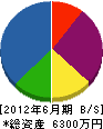 辻村組 貸借対照表 2012年6月期