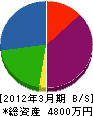 神山電設 貸借対照表 2012年3月期