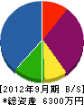 翔美建設 貸借対照表 2012年9月期