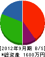 宮川電気 貸借対照表 2012年9月期